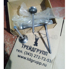 3802355 Клапан впускной (Valve Intake) Cummins 6B5.9