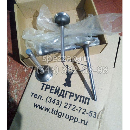 3802355 Клапан впускной (Valve Intake) Cummins 6B5.9