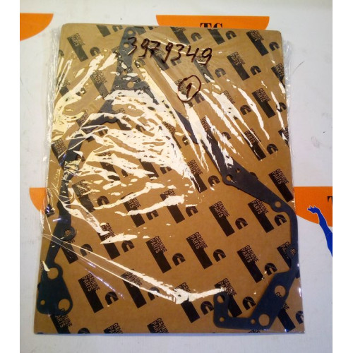 3979349 Прокладка картера Cummins QSL