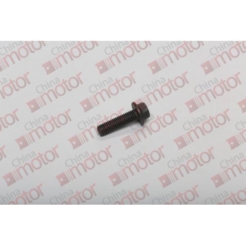 Болт головки топливного фильтра (ISLe) M10x1.5x35 с фланцевой головкой