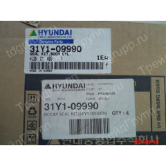 31Y1-09990 ремкомплект гидроцилиндра стрелы Hyundai R250LC-3