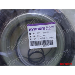 31Y1-20910 Ремкомплект гидроцилиндра стрелы Hyundai R370LC-7